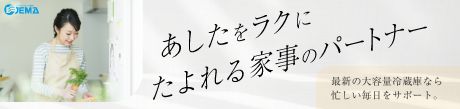 一般社団法人　日本電気工業会のページに遷移します