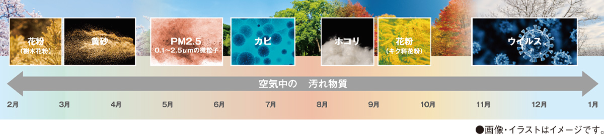 空気中の 汚れ物質 花粉（樹木花粉） 黄砂 PM2.5 0.1～2.5μmの微粒子 カビ ホコリ 花粉（キク科花粉） ウイルス