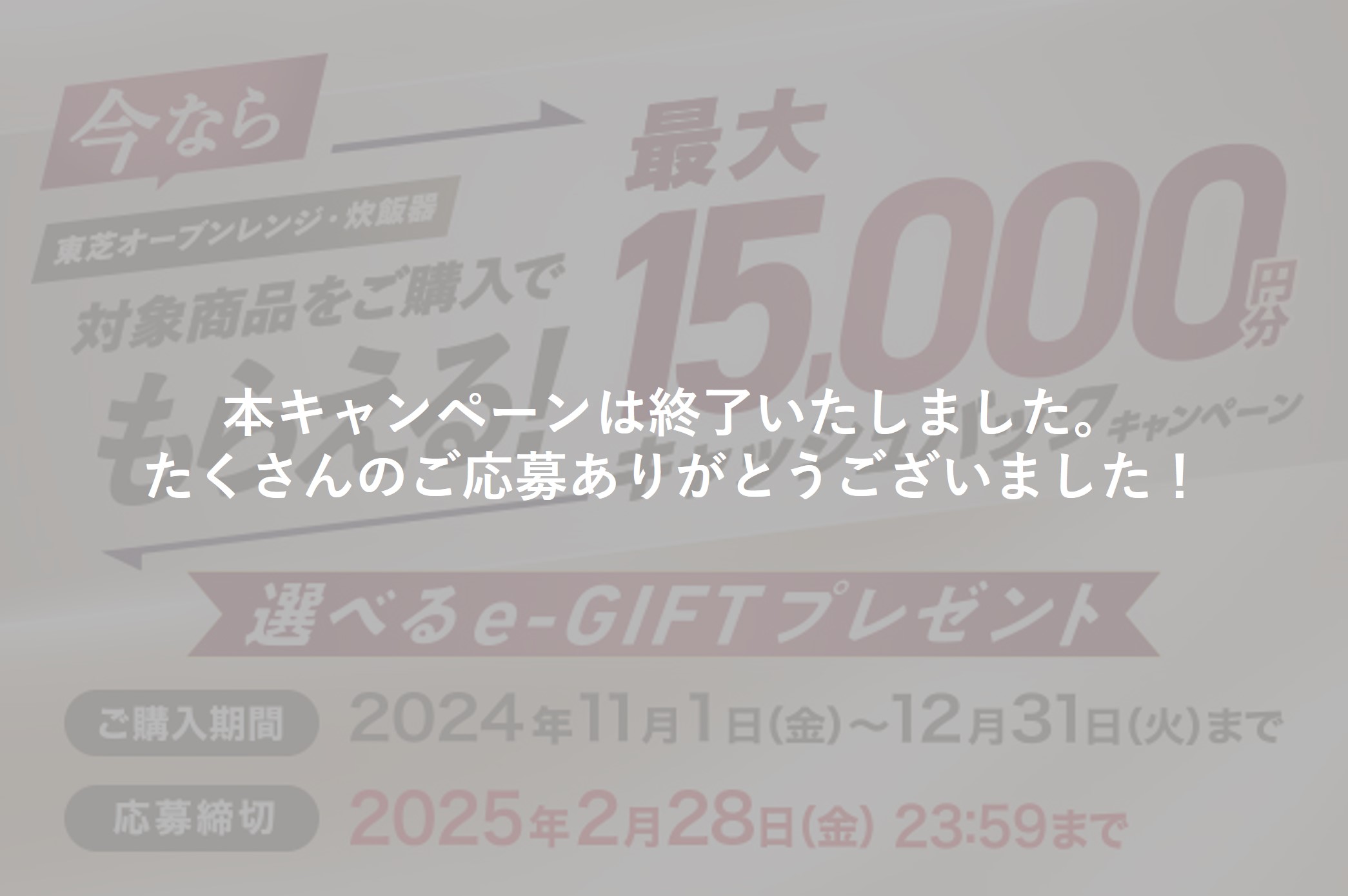 2024年末キャンペーン終了バナー